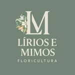 Logo Lírios e Mimos Floricultura